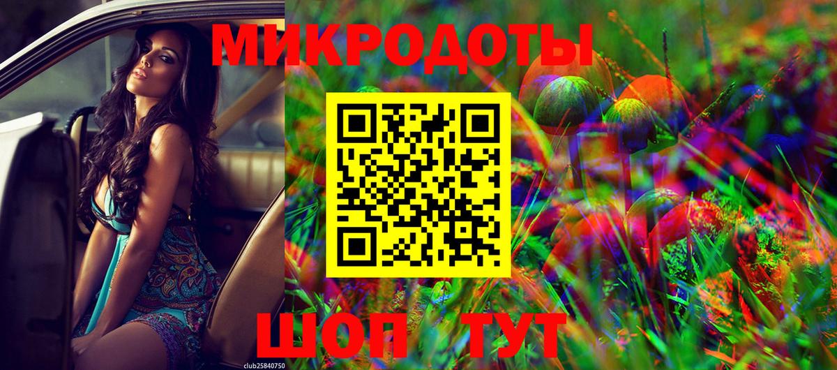 Псилоцибиновые грибы ЛСД  Псилоцибиновые грибы GOLDEN TEACHER  магазин продажи наркотиков  Грозный  Вход с VPN 